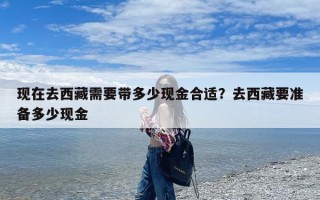 现在去西藏需要带多少现金合适？去西藏要准备多少现金