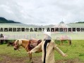去西藏旅游要什么证件？去西藏旅行需要带什么