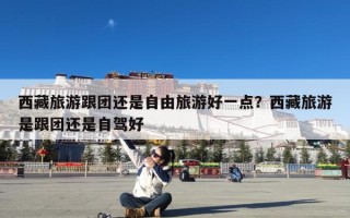 西藏旅游跟团还是自由旅游好一点？西藏旅游是跟团还是自驾好