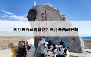 三月去西藏看桃花？三月去西藏好吗
