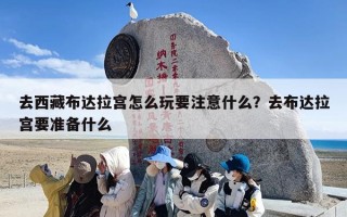 去西藏布达拉宫怎么玩要注意什么？去布达拉宫要准备什么