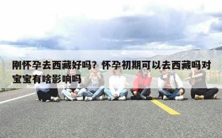 刚怀孕去西藏好吗？怀孕初期可以去西藏吗对宝宝有啥影响吗