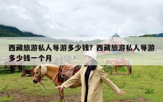 西藏旅游私人导游多少钱？西藏旅游私人导游多少钱一个月