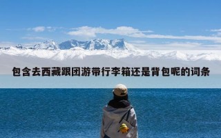 包含去西藏跟团游带行李箱还是背包呢的词条