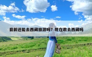 目前还能去西藏旅游吗？现在敢去西藏吗