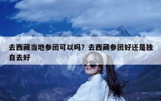去西藏当地参团可以吗？去西藏参团好还是独自去好