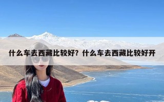 什么车去西藏比较好？什么车去西藏比较好开