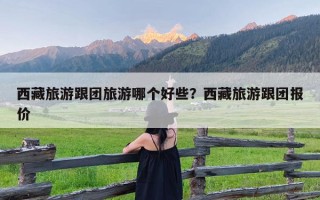 西藏旅游跟团旅游哪个好些？西藏旅游跟团报价