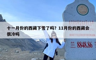 十一月份的西藏下雪了吗？11月份的西藏会很冷吗