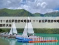 十一去拉萨旅游攻略图？十一去拉萨旅游攻略图片大全