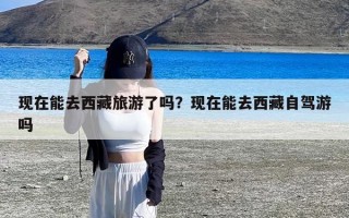 现在能去西藏旅游了吗？现在能去西藏自驾游吗