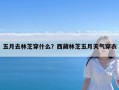 五月去林芝穿什么？西藏林芝五月天气穿衣