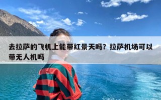 去拉萨的飞机上能带红景天吗？拉萨机场可以带无人机吗