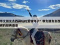 带女朋友去西藏玩的爱情句子？带女朋友去西藏的经典语录
