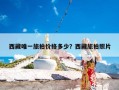 西藏唯一旅拍价格多少？西藏旅拍照片