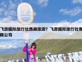 飞游国际旅行社西藏旅游？飞游国际旅行社有限公司