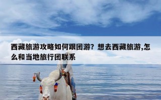 西藏旅游攻略如何跟团游？想去西藏旅游,怎么和当地旅行团联系