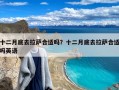 十二月底去拉萨合适吗？十二月底去拉萨合适吗英语