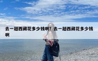去一趟西藏花多少钱啊？去一趟西藏花多少钱啊