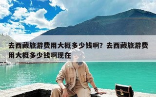 去西藏旅游费用大概多少钱啊？去西藏旅游费用大概多少钱啊现在