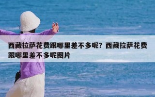 西藏拉萨花费跟哪里差不多呢？西藏拉萨花费跟哪里差不多呢图片