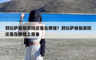 到拉萨报旅游团还是在携程？到拉萨报旅游团还是在携程上报备