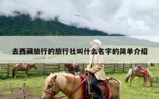 去西藏旅行的旅行社叫什么名字的简单介绍