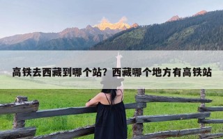 高铁去西藏到哪个站？西藏哪个地方有高铁站