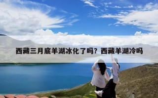 西藏三月底羊湖冰化了吗？西藏羊湖冷吗