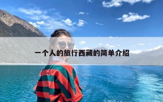 一个人的旅行西藏的简单介绍