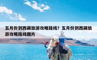 五月份到西藏旅游攻略路线？五月份到西藏旅游攻略路线图片