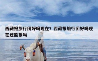 西藏报旅行团好吗现在？西藏报旅行团好吗现在还能报吗