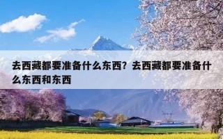 去西藏都要准备什么东西？去西藏都要准备什么东西和东西