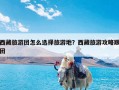 西藏旅游团怎么选择旅游地？西藏旅游攻略跟团