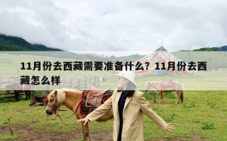 11月份去西藏需要准备什么？11月份去西藏怎么样