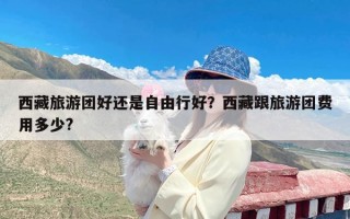 西藏旅游团好还是自由行好？西藏跟旅游团费用多少?