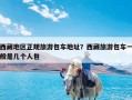 西藏地区正规旅游包车地址？西藏旅游包车一般是几个人包