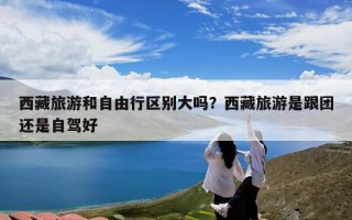 西藏旅游和自由行区别大吗？西藏旅游是跟团还是自驾好