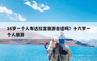 16岁一个人布达拉宫旅游合适吗？十六岁一个人旅游