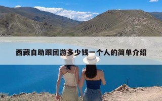 西藏自助跟团游多少钱一个人的简单介绍