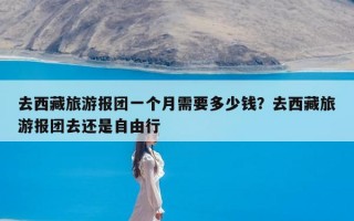 去西藏旅游报团一个月需要多少钱？去西藏旅游报团去还是自由行