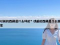 以前的西藏是什么样的？以前的西藏是什么国家