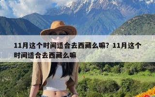 11月这个时间适合去西藏么嘛？11月这个时间适合去西藏么嘛