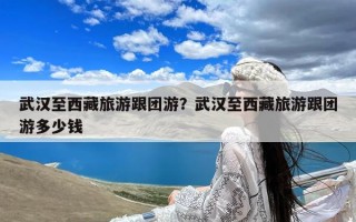 武汉至西藏旅游跟团游？武汉至西藏旅游跟团游多少钱