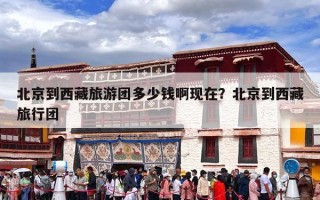 北京到西藏旅游团多少钱啊现在？北京到西藏旅行团