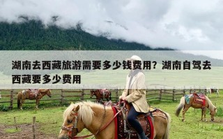 湖南去西藏旅游需要多少钱费用？湖南自驾去西藏要多少费用