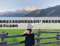西藏适合自助游吗现在能去吗？西藏自驾游现在可以进藏吗