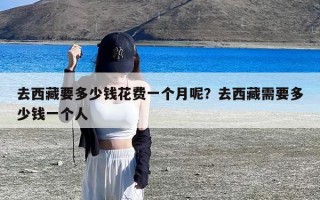 去西藏要多少钱花费一个月呢？去西藏需要多少钱一个人