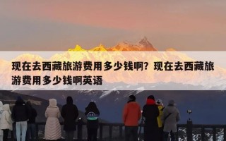 现在去西藏旅游费用多少钱啊？现在去西藏旅游费用多少钱啊英语