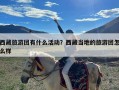 西藏旅游团有什么活动？西藏当地的旅游团怎么样